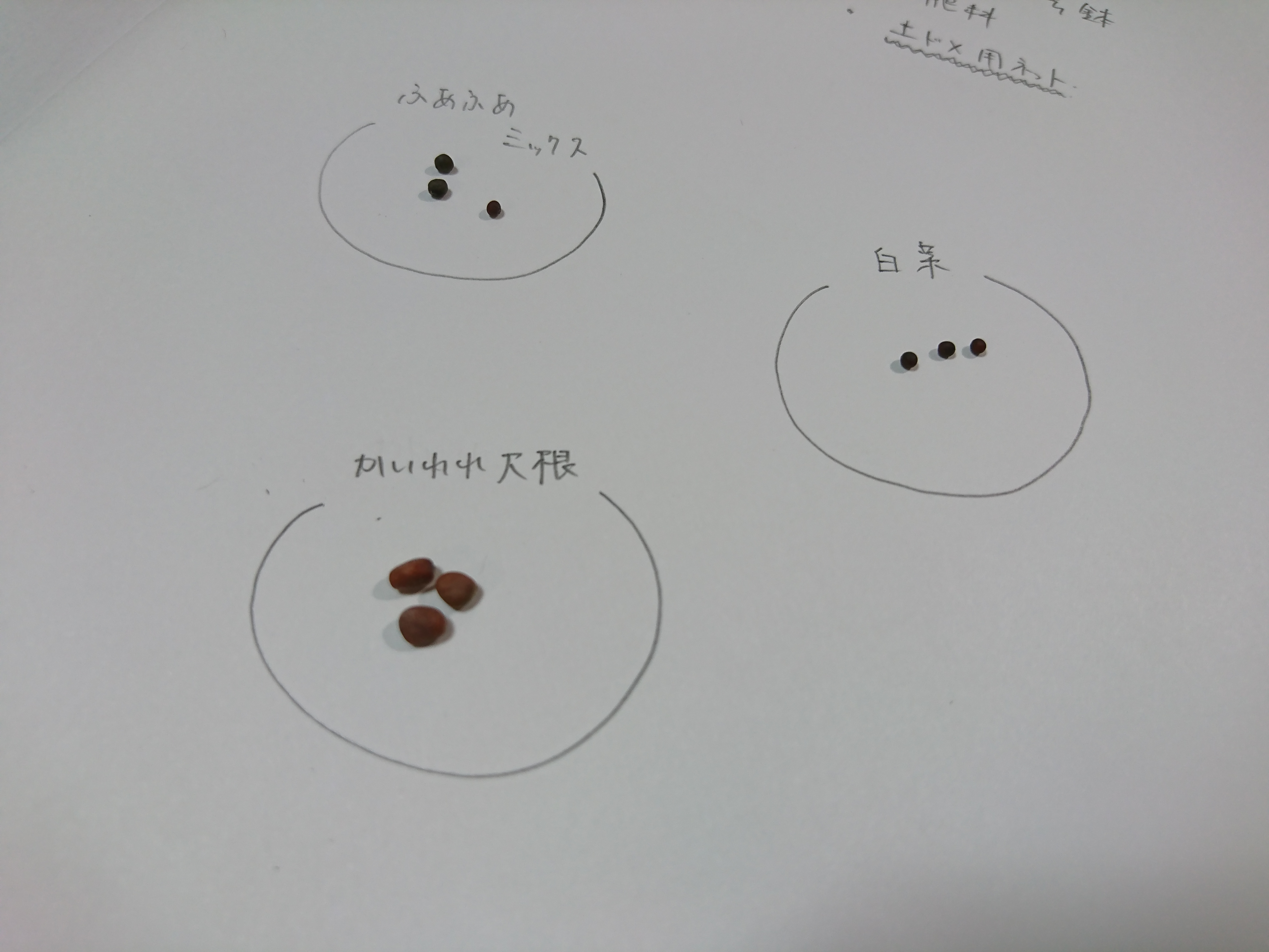 http://www.ige.tohoku.ac.jp/prg/watanabe/as-vegetable2019/images/20191013004746-675d8024b0e5234543e442dadf7134d8e5aee580.JPG