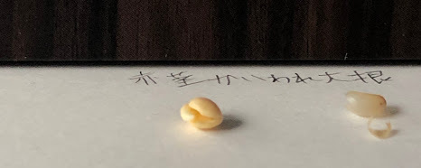 http://www.ige.tohoku.ac.jp/prg/watanabe/as-vegetable2019/images/20191024023226-471677aa60598745428d15edc359ea544058306a.jpg