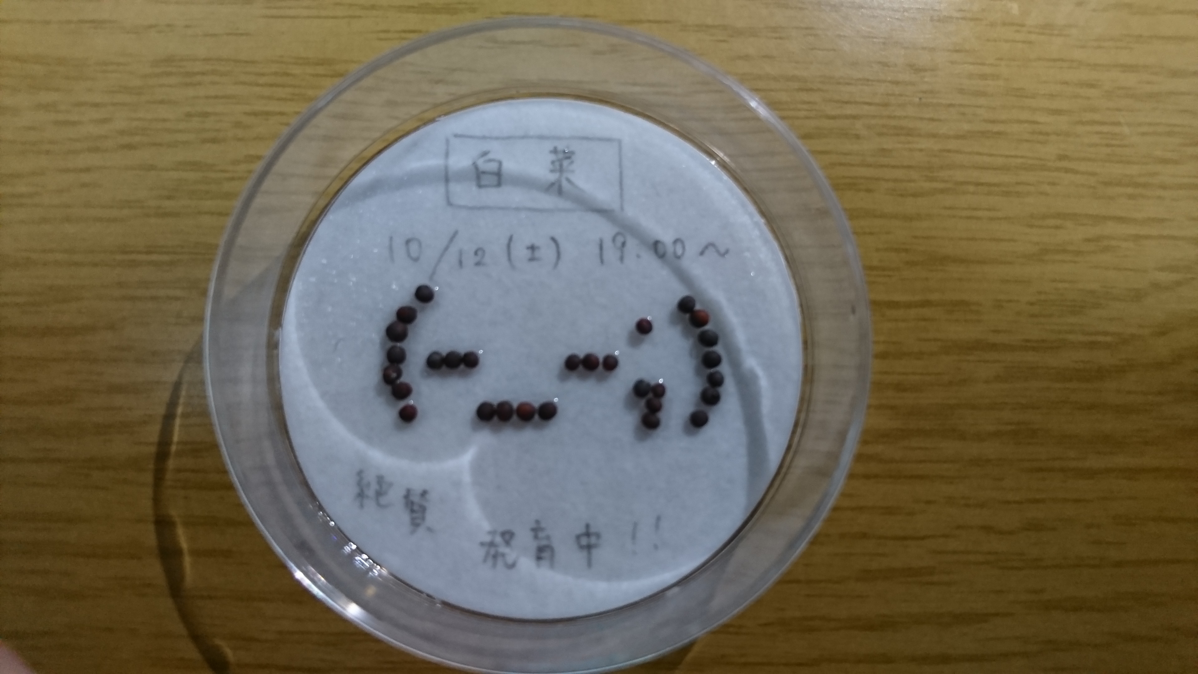 http://www.ige.tohoku.ac.jp/prg/watanabe/as-vegetable2019/images/20191122133050-2ec8cc66b62dd143c10620f309d62427c1d58c6e.JPG