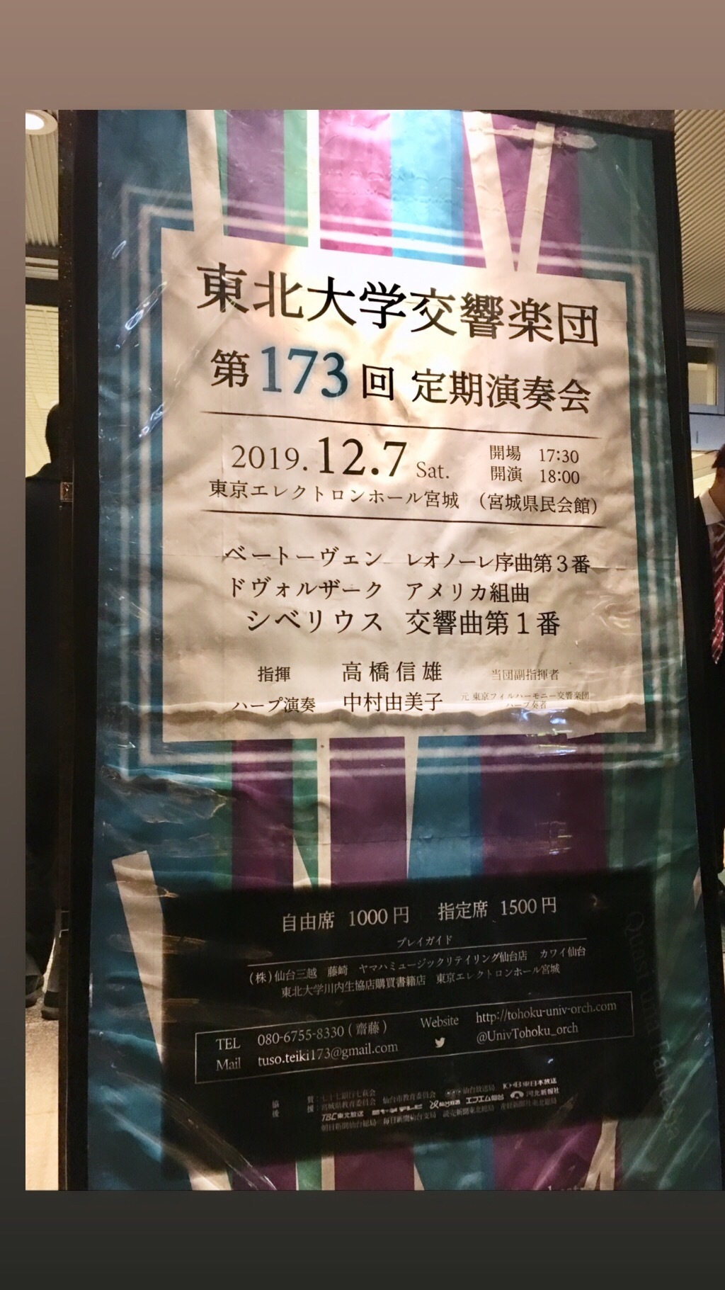 8 ミニ大根 大根 らしく なってきた 50日目 69日目 全学教育科目 展開ゼミ19 植物分子育種分野 渡辺研究室 東北大学大学院 生命科学研究科