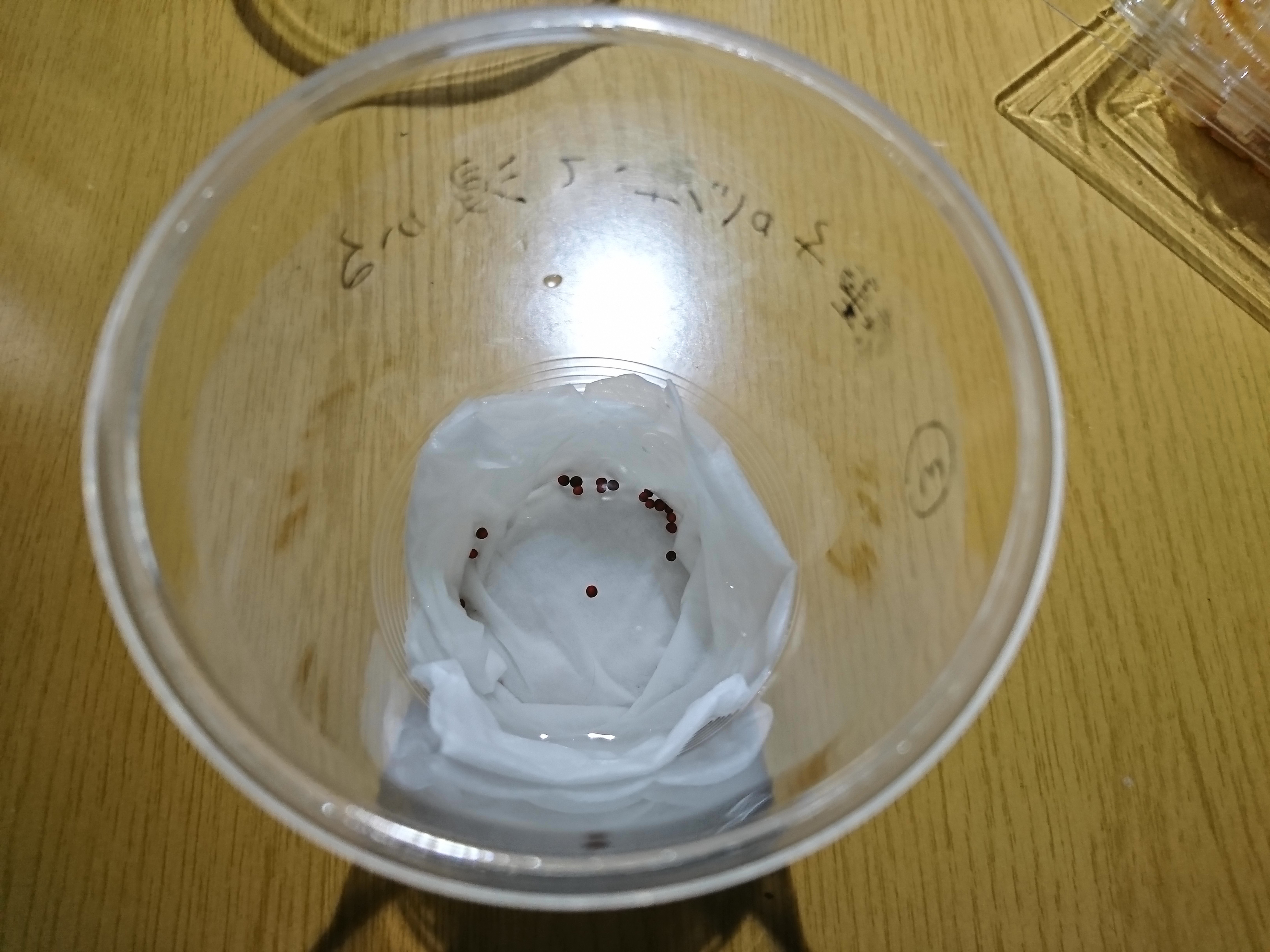 http://www.ige.tohoku.ac.jp/prg/watanabe/as-vegetable2019/images/20200109173225-79cc3e710b8c535f09f3e2a83cf2be292842341c.JPG
