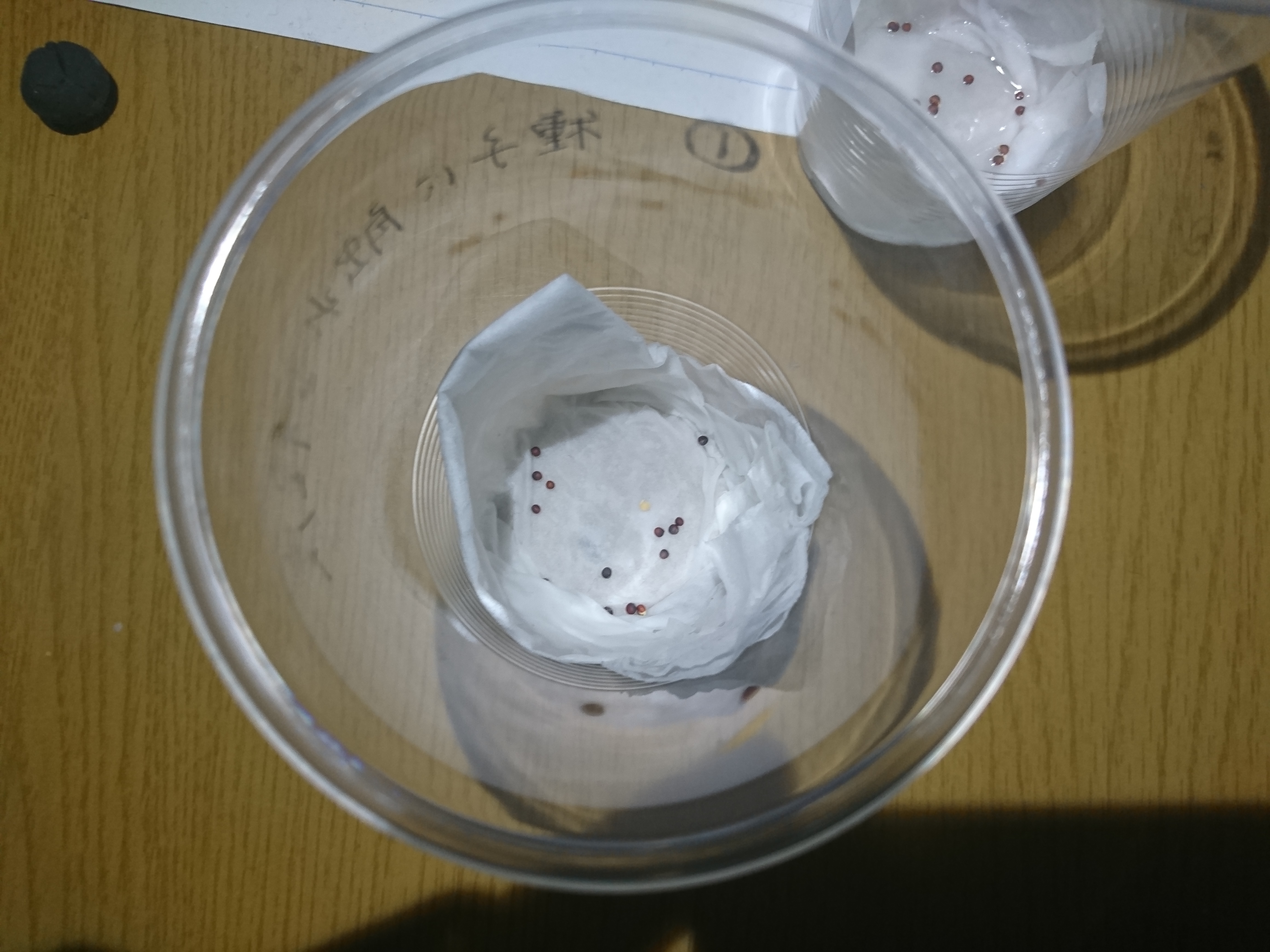 http://www.ige.tohoku.ac.jp/prg/watanabe/as-vegetable2019/images/20200109174503-d9873bf9473b474d1eb48a605931bf8ab462af24.JPG