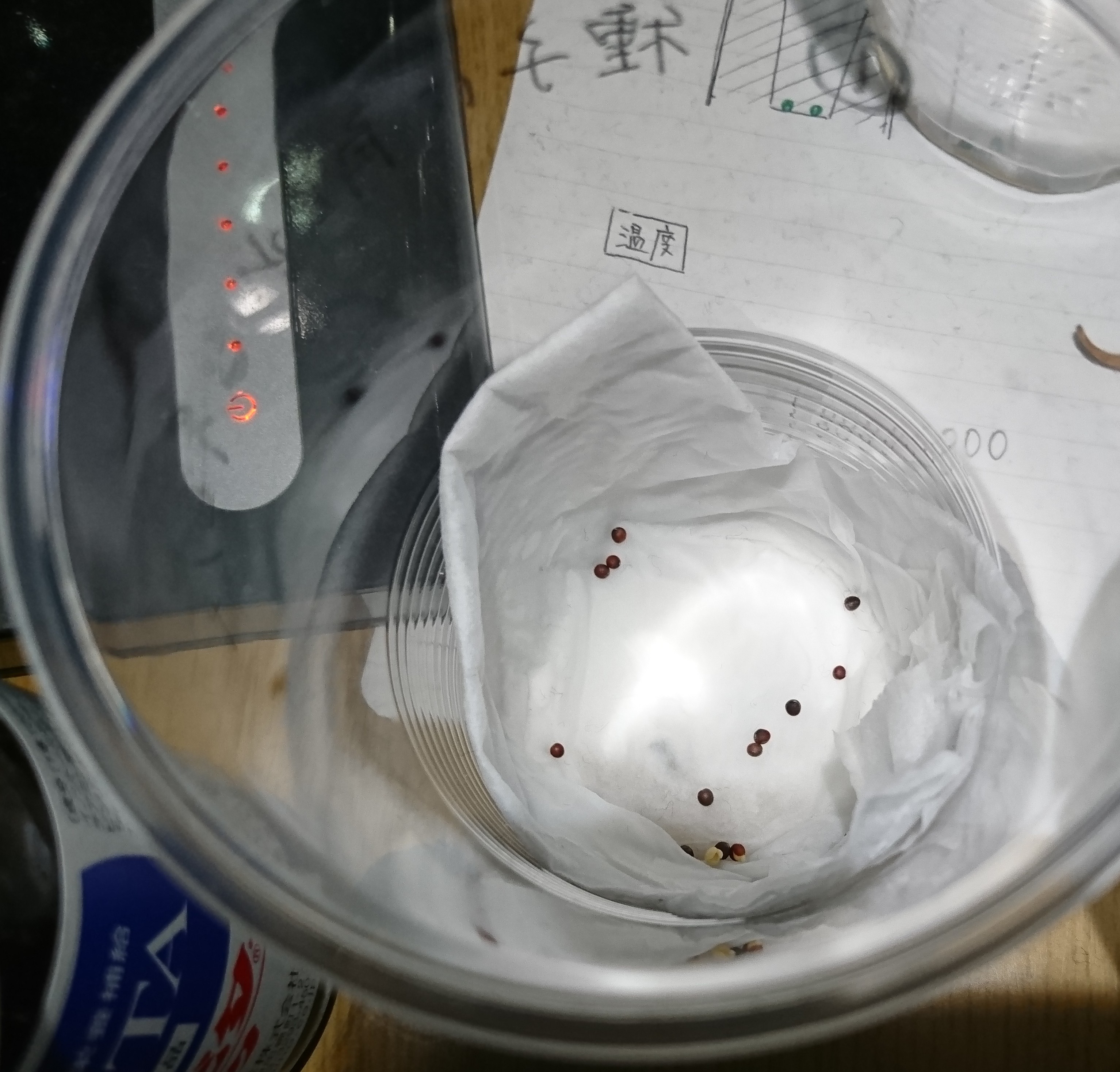 http://www.ige.tohoku.ac.jp/prg/watanabe/as-vegetable2019/images/20200109185101-457cf286ccdb2e4619a2c4c5fecae5d18f2c39dd.JPG