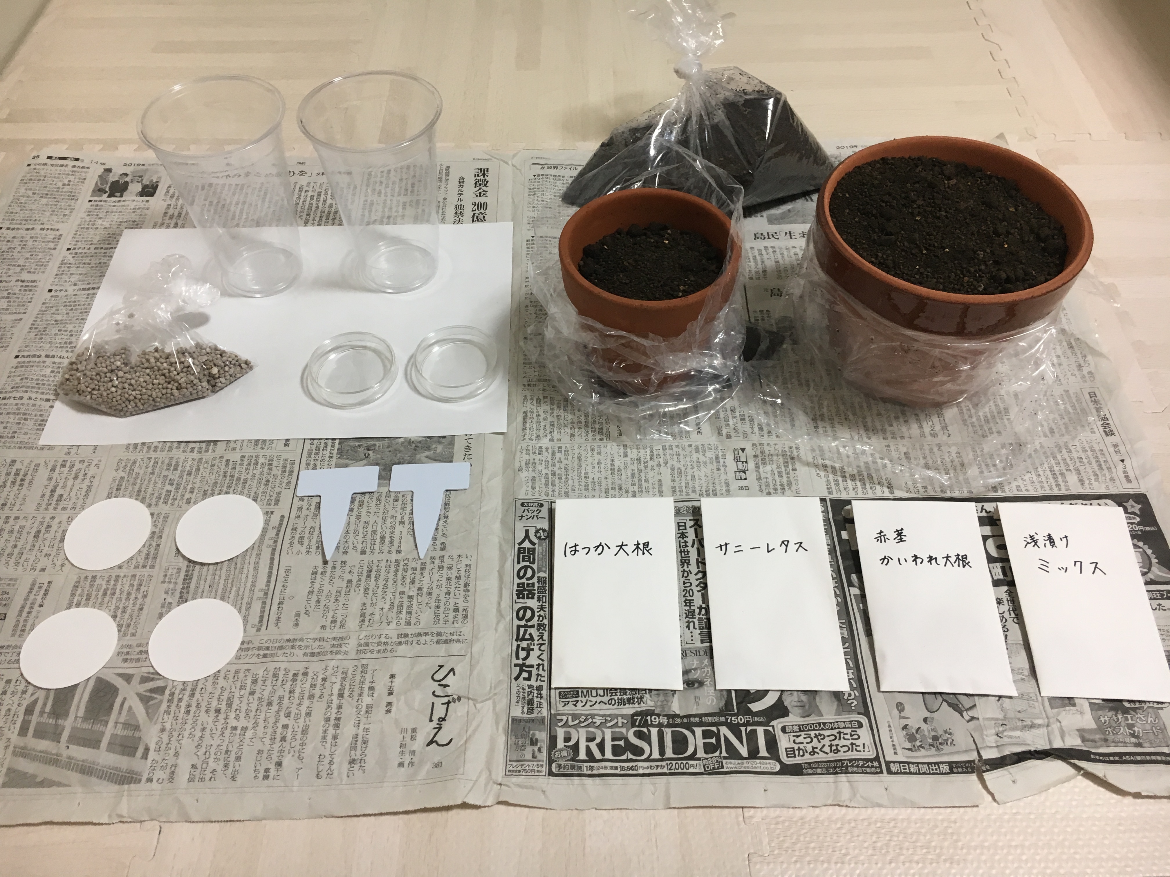http://www.ige.tohoku.ac.jp/prg/watanabe/as-vegetable2019/images/IMG_2575.JPG