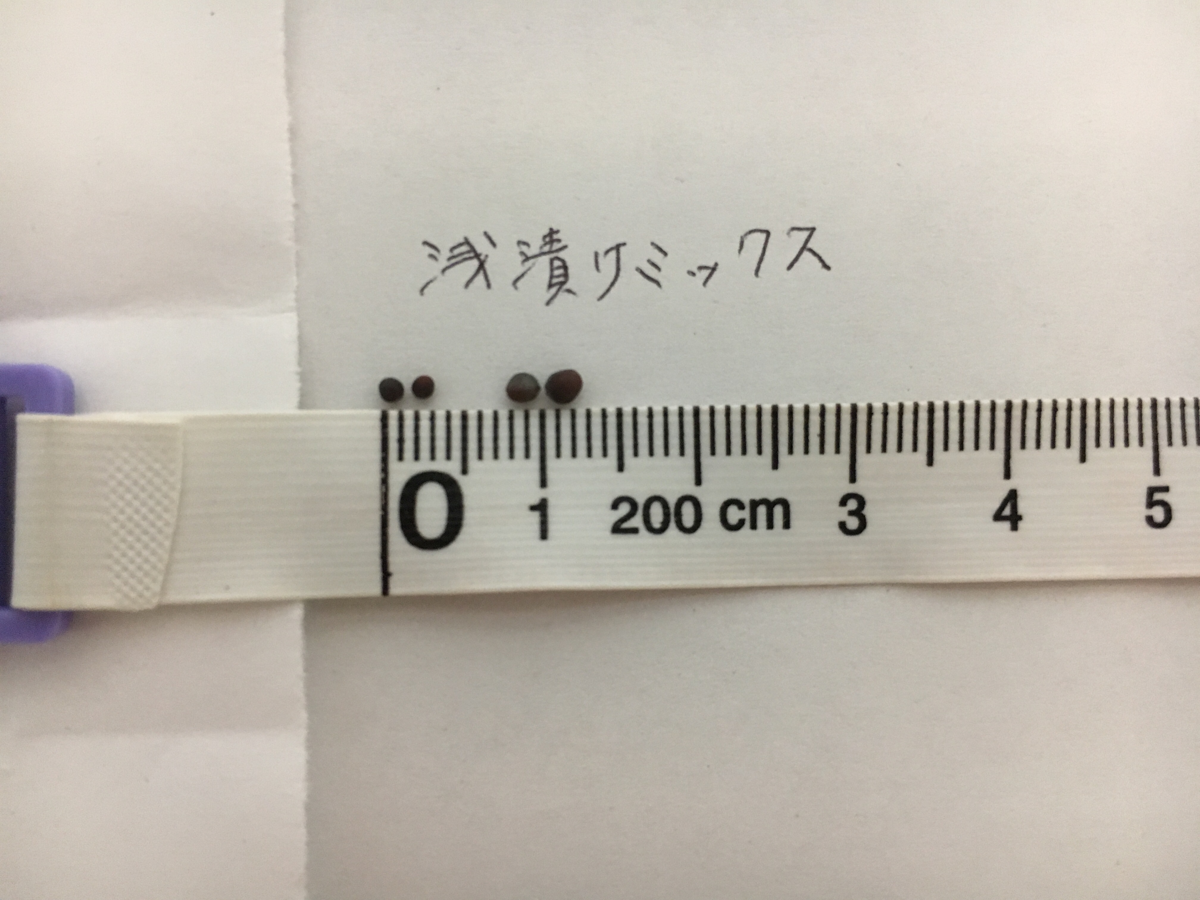 http://www.ige.tohoku.ac.jp/prg/watanabe/as-vegetable2019/images/IMG_E2617.JPG