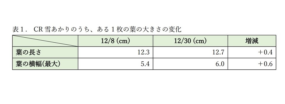 http://www.ige.tohoku.ac.jp/prg/watanabe/as-vegetable2020/20201231005809-81fe02380398baf6b893dc43b3477be06da85e71.jpg