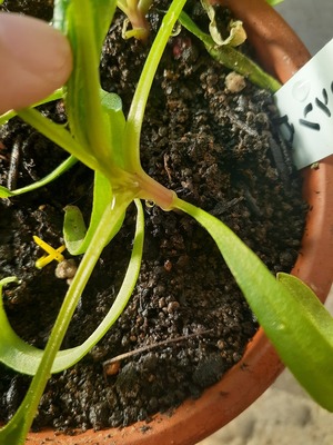 20201206_152108.jpg