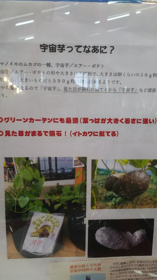 http://www.ige.tohoku.ac.jp/prg/watanabe/as-vegetable2020/images/20201207135530-4f1691c9d2ad47eb2c3b1368a455559153c2329d.JPG