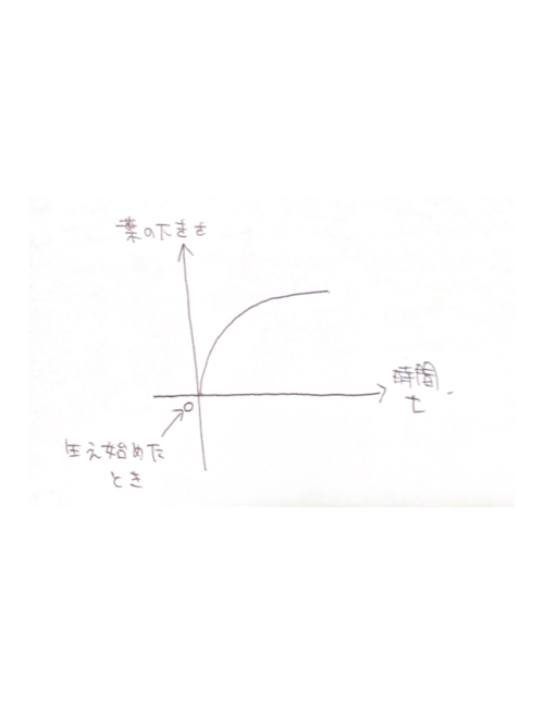 スキャンした書類 (13).pdf