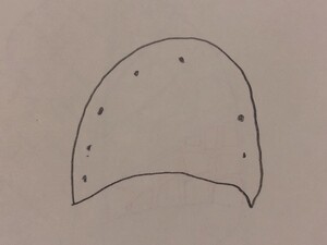 紫高菜茎絵 (2).jpg