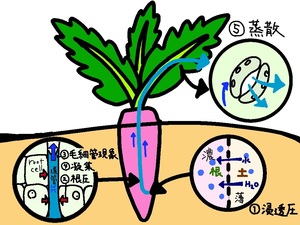 無題27_20211210130040.jpg