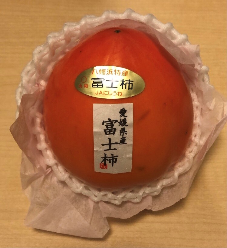 ふあふあミックス実食！！ | 全学教育科目・展開ゼミ2021 | 植物分子 ...