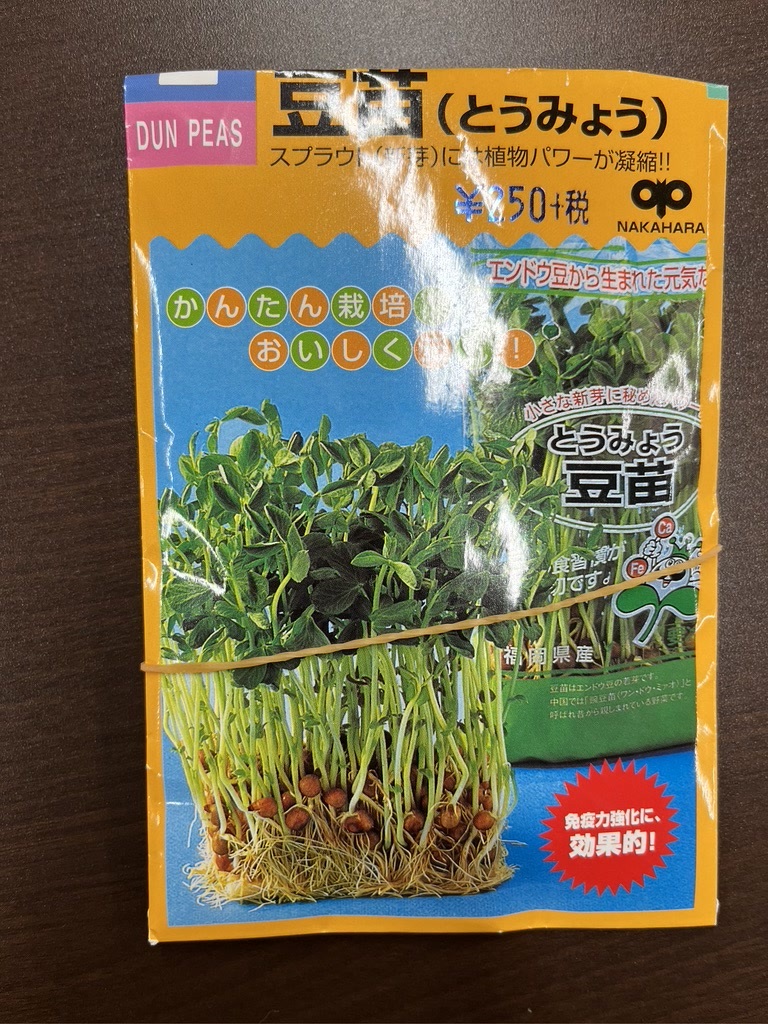 http://www.ige.tohoku.ac.jp/prg/watanabe/as-vegetable2022/588365D5-B68D-434F-8580-E11ADF3EF5CC_1_105_c.jpg