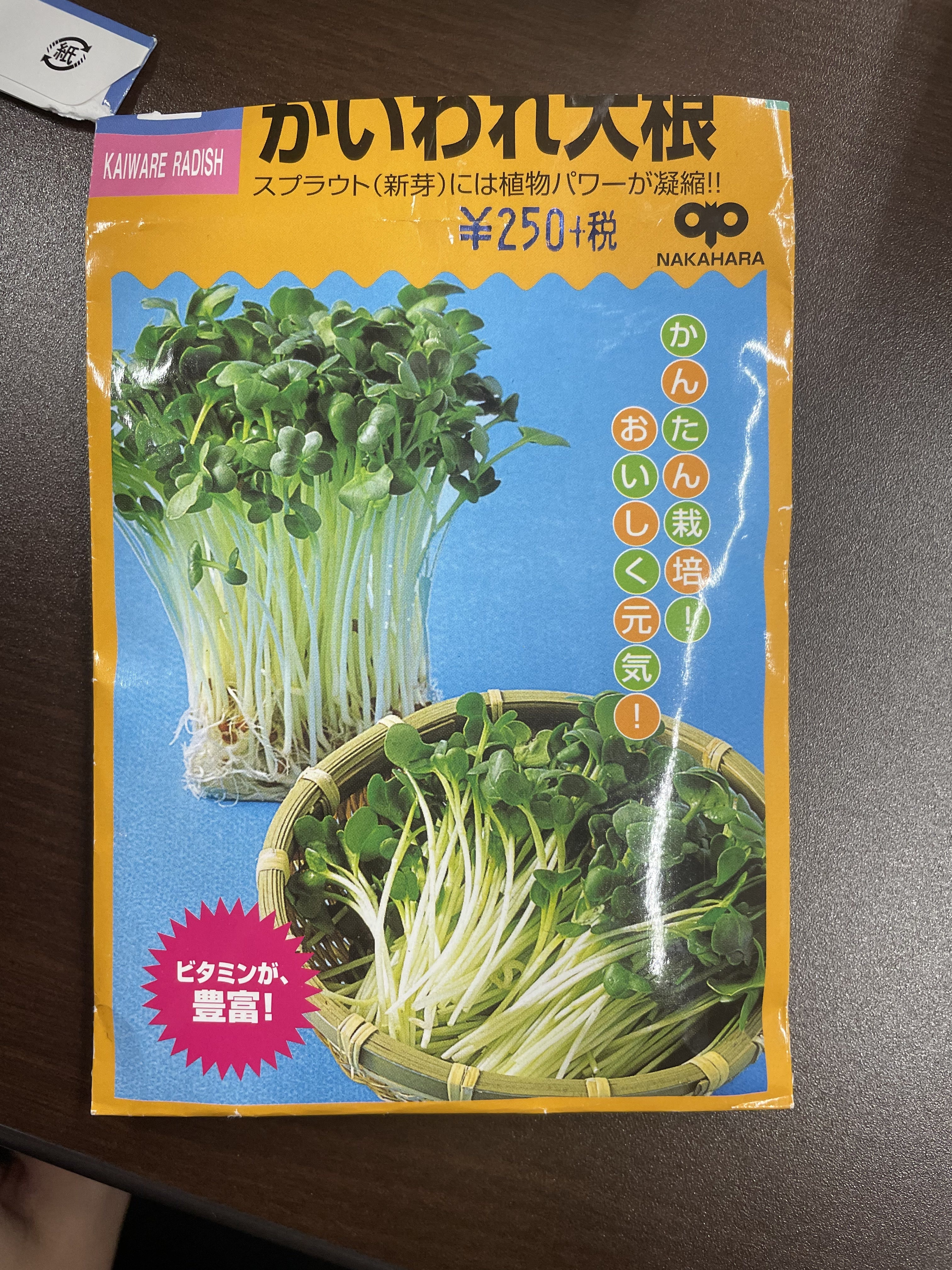 http://www.ige.tohoku.ac.jp/prg/watanabe/as-vegetable2022/IMG_2647%202.jpg