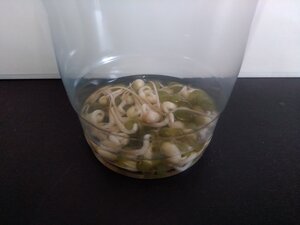 IMG_20221013_074151.jpg