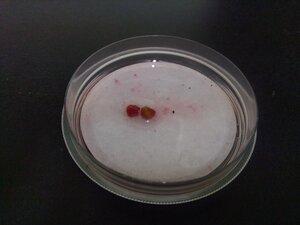 IMG_20221015_191136.jpg