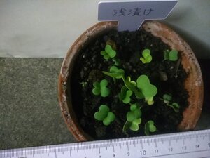 IMG_20221016_202144.jpg