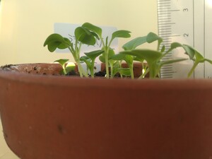 IMG_20221019_072943.jpg