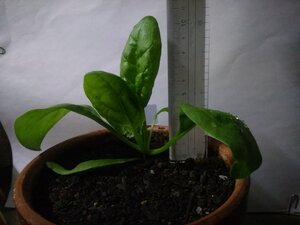 IMG_20221108_230552.jpg