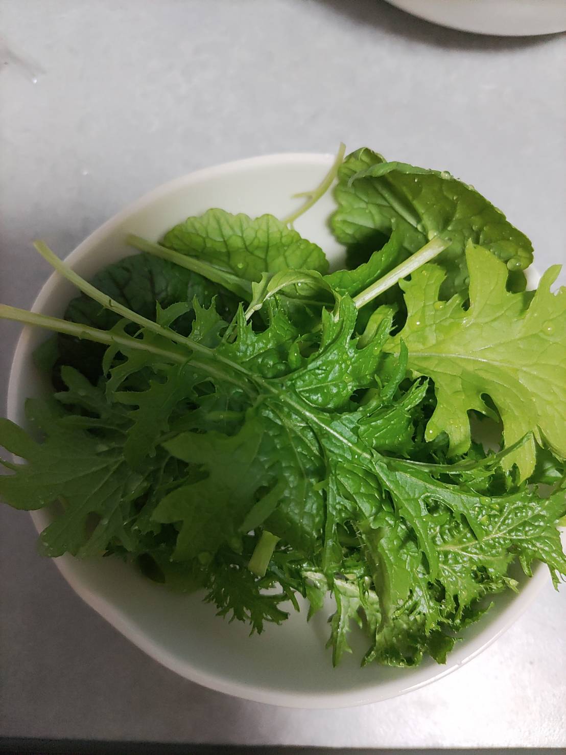 http://www.ige.tohoku.ac.jp/prg/watanabe/as-vegetable2022/images/40796.jpg