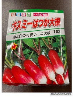 http://www.ige.tohoku.ac.jp/prg/watanabe/as-vegetable2022/images/AF005588-AEDC-4D48-838A-91D4C7007F46.jpeg