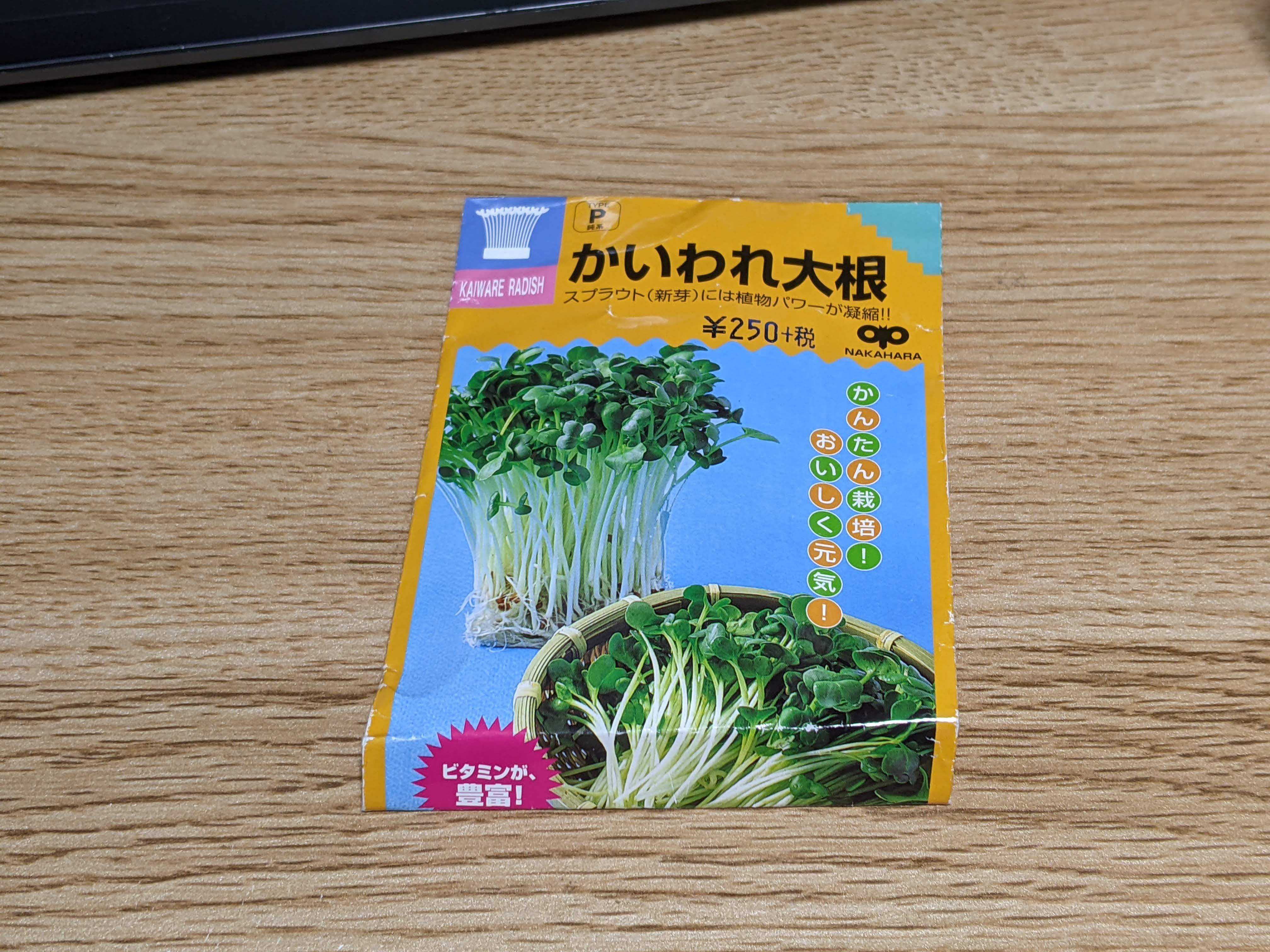 http://www.ige.tohoku.ac.jp/prg/watanabe/as-vegetable2023/PXL_20231207_131919884.jpg