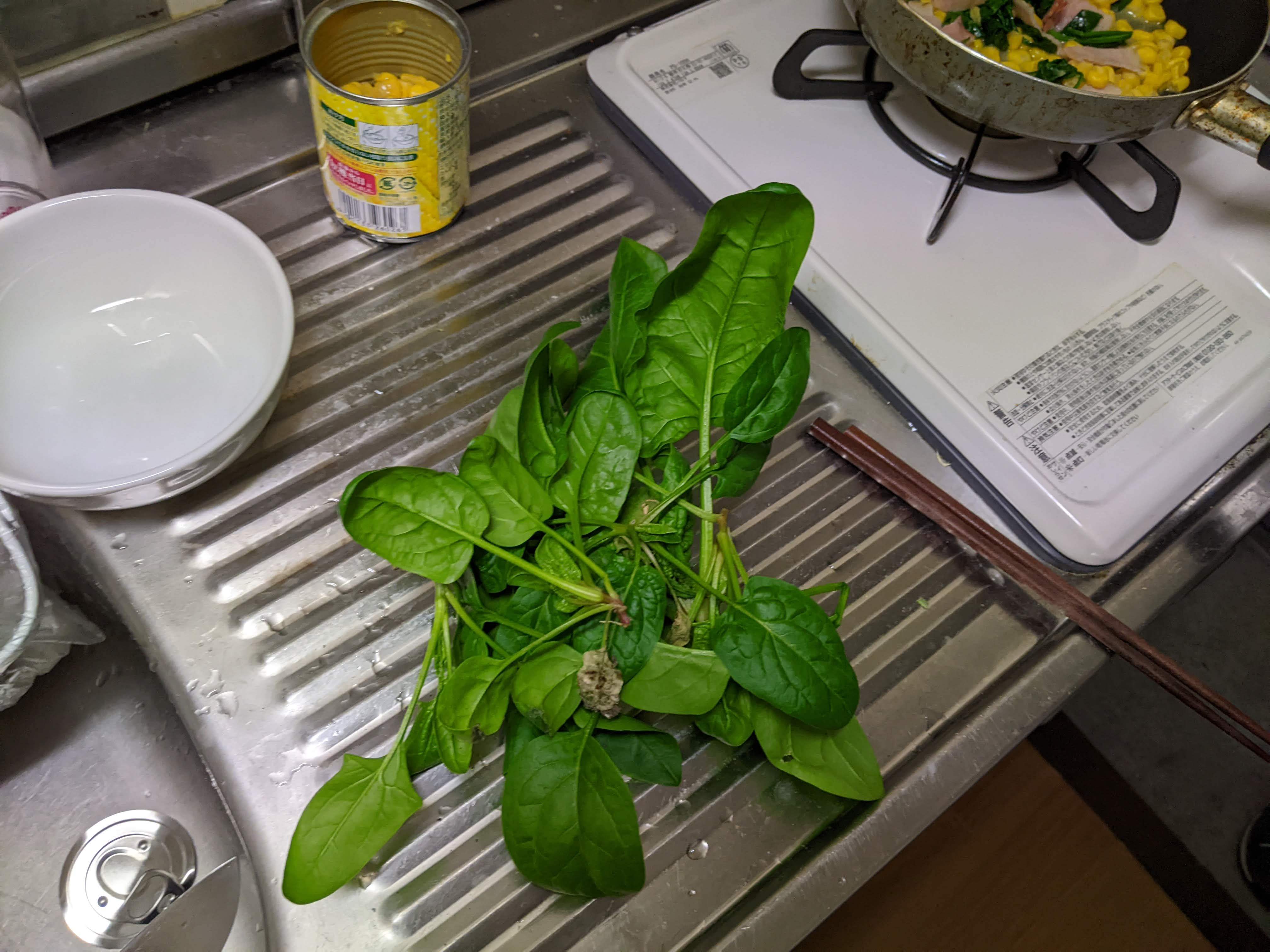 http://www.ige.tohoku.ac.jp/prg/watanabe/as-vegetable2023/PXL_20240201_115652531.jpg