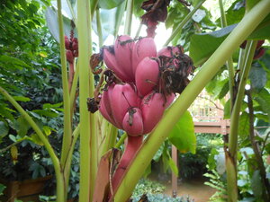 DSCN2843.JPG