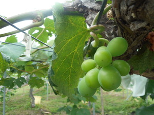 DSCN5834.JPG