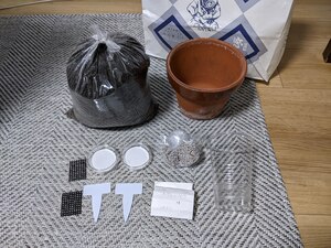PXL_20231005_174803919.jpg