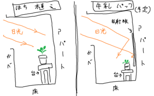 第6回_日光の当て方.png