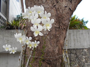 DSCN0206.JPG