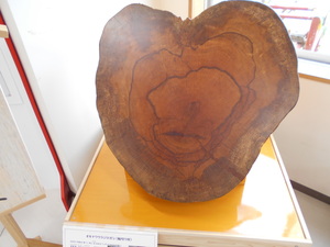 DSCN0218.JPG