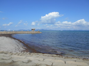 DSCN0231.JPG
