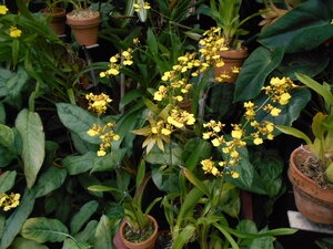 DSCN0360.JPG