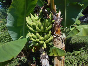 DSCN0438.JPG