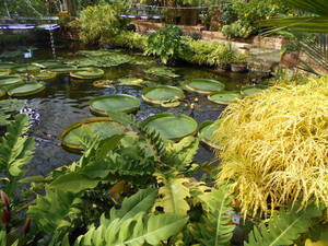 DSCN0456.JPG
