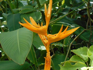 DSCN0463.JPG