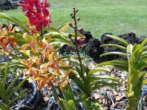 DSCN0467.JPG