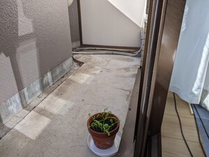 PXL_20231030_022258651.jpg