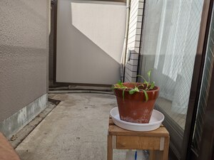 PXL_20231103_023256460.jpg