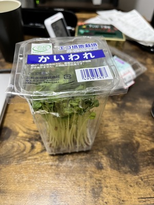 S__37576706.jpg