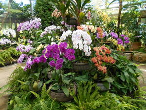 DSCN0351.JPG