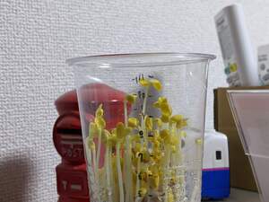 PXL_20231214_232123809.jpg