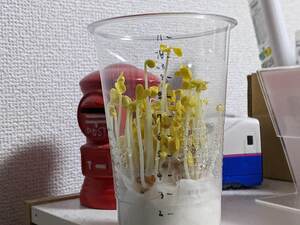 PXL_20231214_232134732.jpg