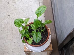 PXL_20231220_000910759.jpg