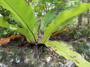 DSCN0253.JPG