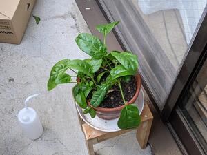 PXL_20240117_231618579.jpg