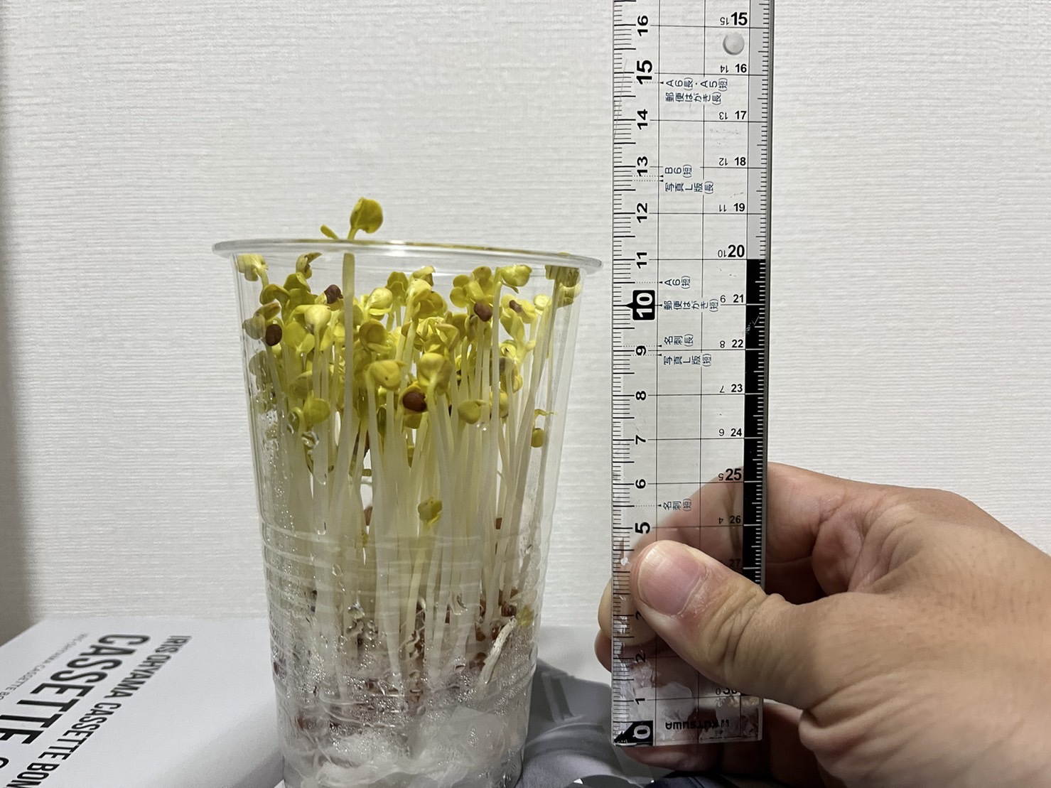 http://www.ige.tohoku.ac.jp/prg/watanabe/as-vegetable2023/images/13%E6%97%A5.jpg