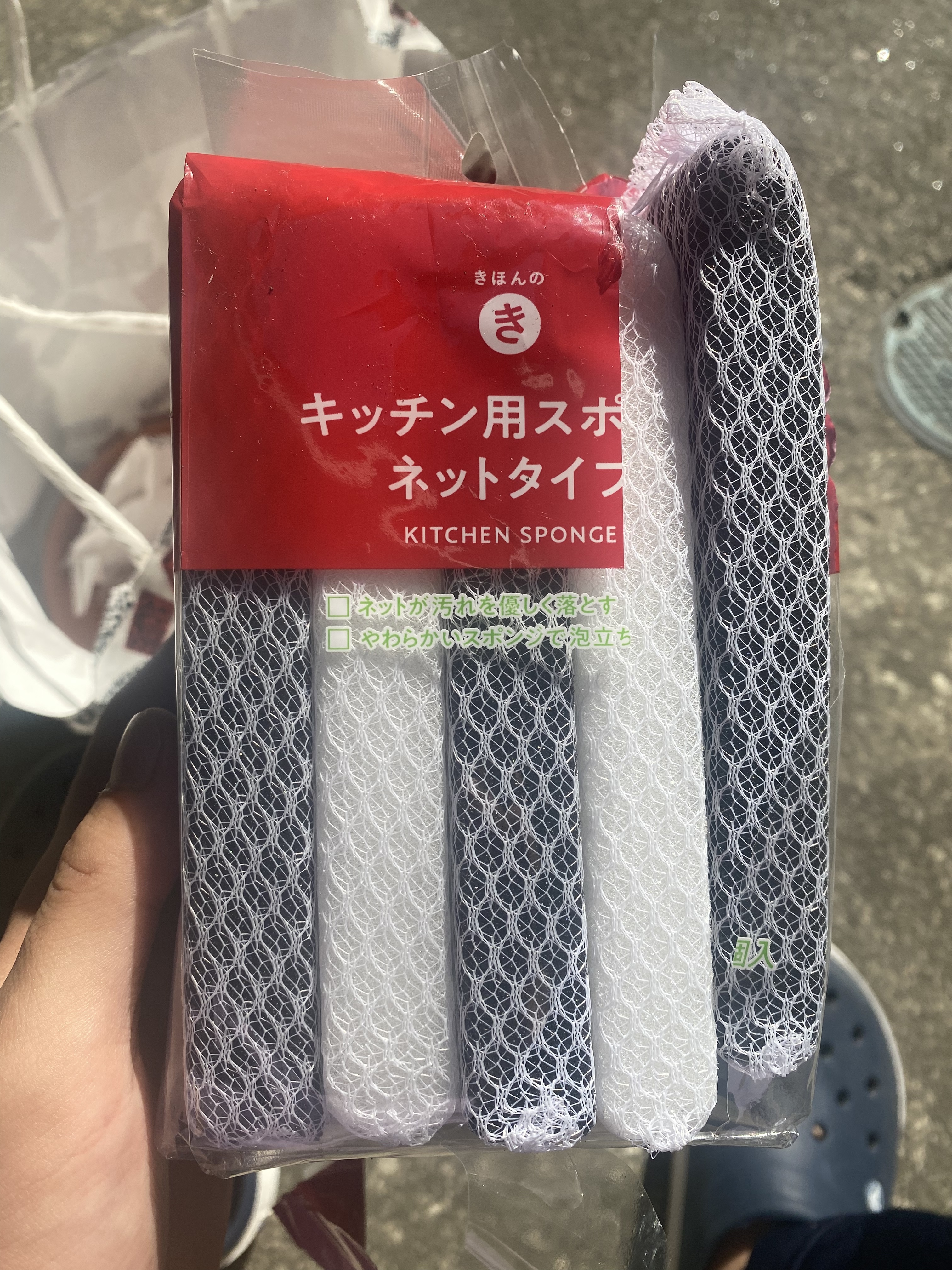 http://www.ige.tohoku.ac.jp/prg/watanabe/as-vegetable2023/images/853A84DD-F62E-4876-9B95-7D10BB57FFB7.jpeg